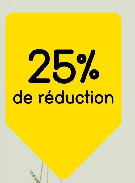 25%
de réduction