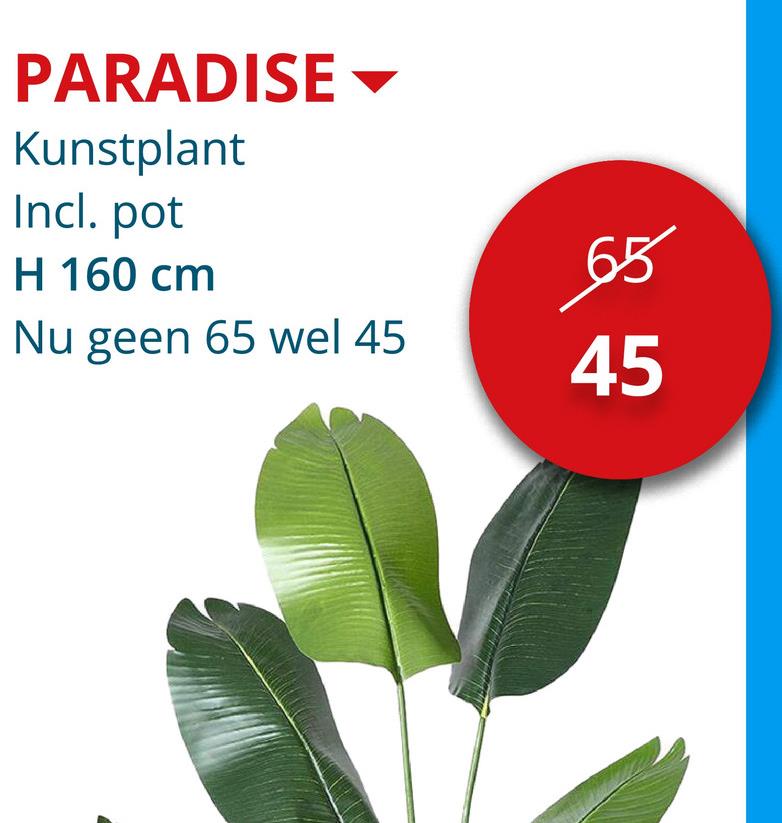 PARADISE
Kunstplant
Incl. pot
H 160 cm
Nu geen 65 wel 45
65
45