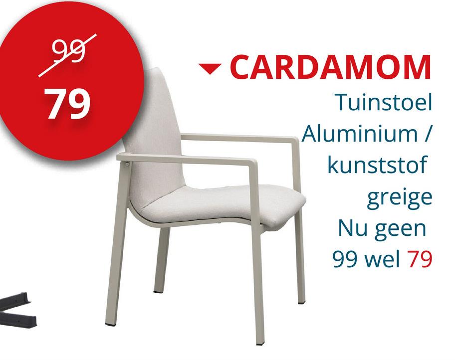 99
79
CARDAMOM
Tuinstoel
Aluminium /
kunststof
greige
Nu geen
99 wel 79