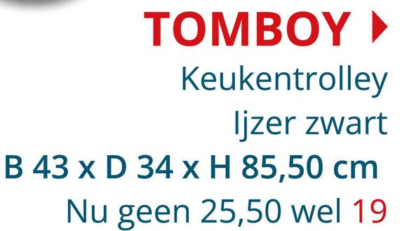 TOMBOY ▸
Keukentrolley
Ijzer zwart
B 43 x D 34 x H 85,50 cm
Nu geen 25,50 wel 19