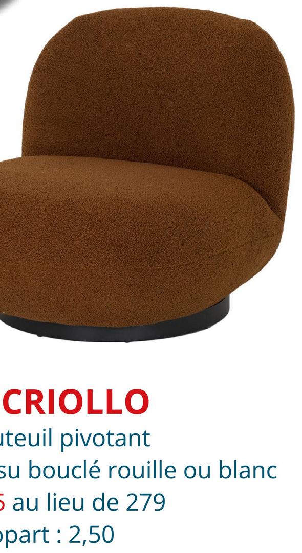 CRIOLLO
uteuil pivotant
su bouclé rouille ou blanc
5 au lieu de 279
opart: 2,50