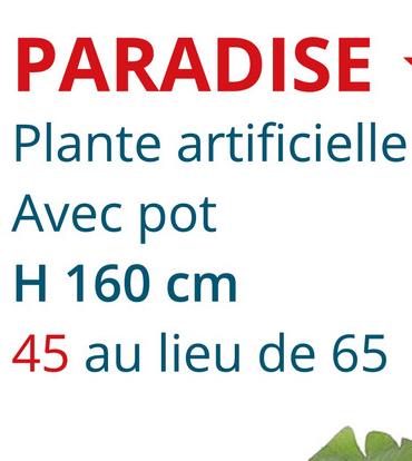 PARADISE
Plante artificielle
Avec pot
H 160 cm
45 au lieu de 65