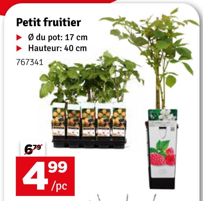 Petit fruitier
Ø du pot: 17 cm
►Hauteur: 40 cm
767341
679
4.99
/pc