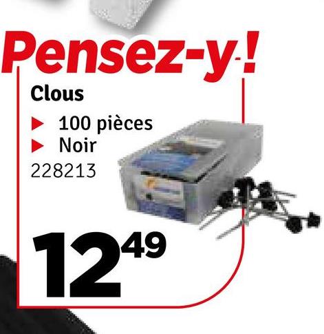 Pensez-y!
Clous
100 pièces
Noir
228213
1249