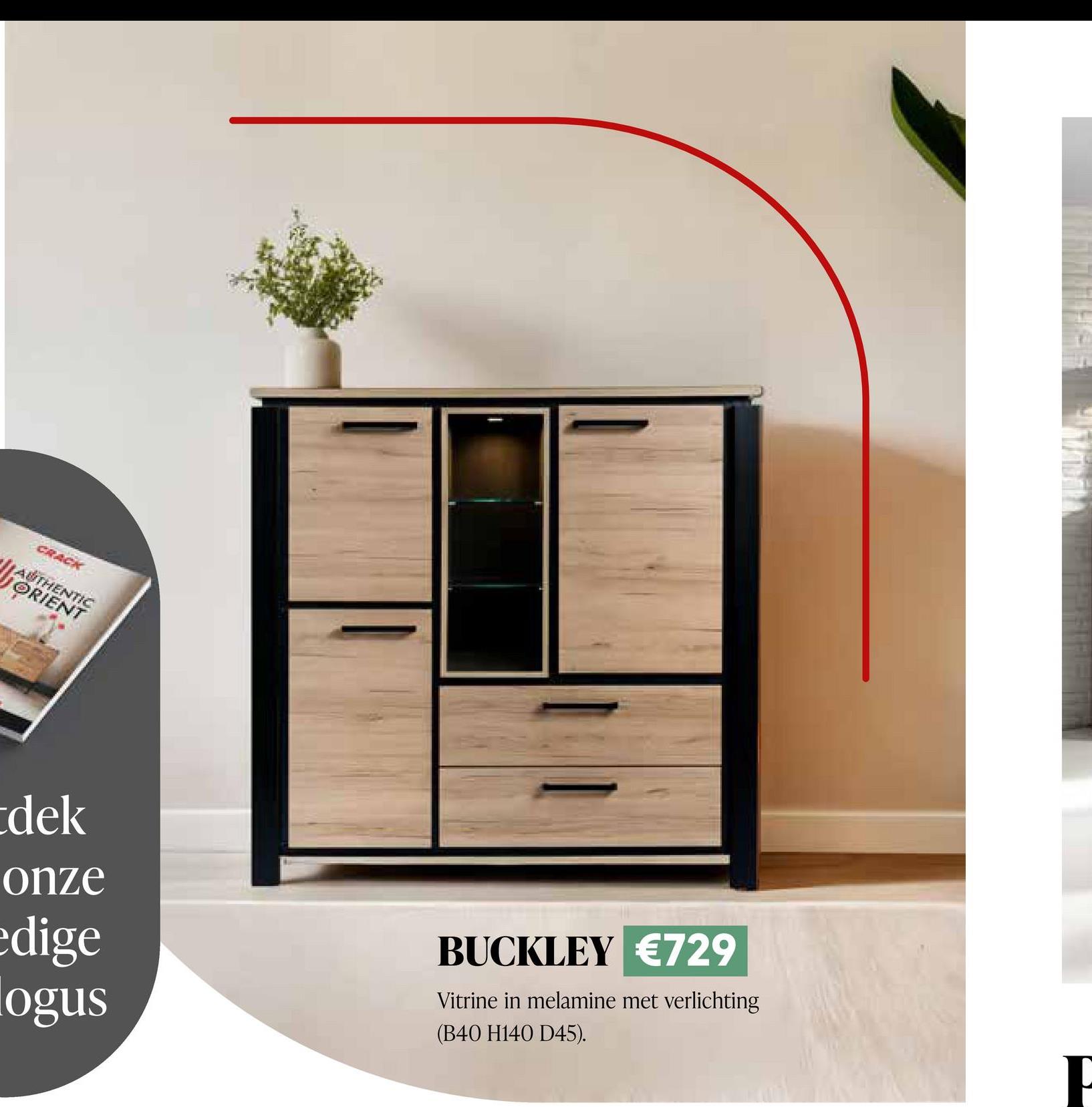 CRACK
AUTHENTIC
ORIENT
dek
onze
edige
ogus
BUCKLEY €729
Vitrine in melamine met verlichting
(B40 H140 D45).