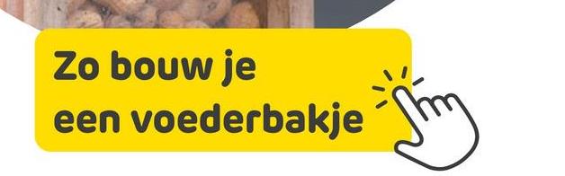 Zo bouw je
een voederbakje