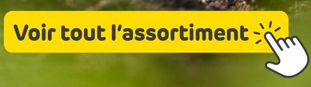 Voir tout l'assortiment