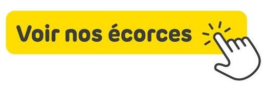 Voir nos écorces