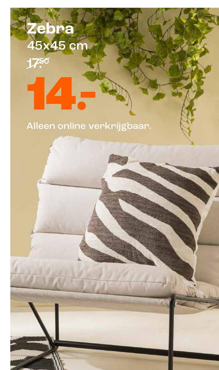Zebra
45x45 cm
17.50
14.
Alleen online verkrijgbaar.