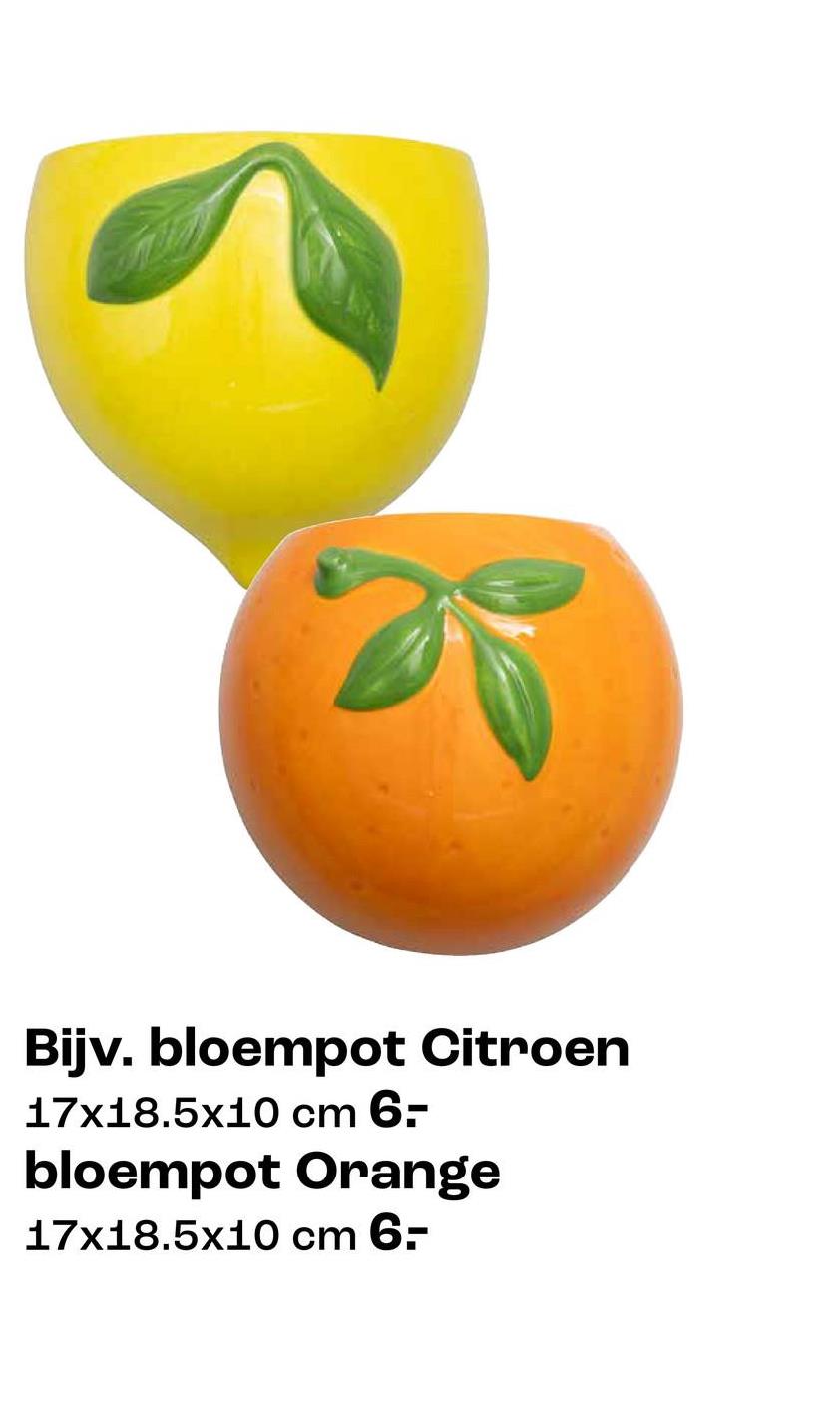Bijv. bloempot Citroen
17x18.5x10 cm 6-
bloempot Orange
17x18.5x10 cm 6-