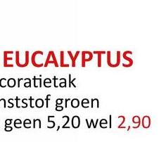 EUCALYPTUS
coratietak
ststof groen
geen 5,20 wel 2,90