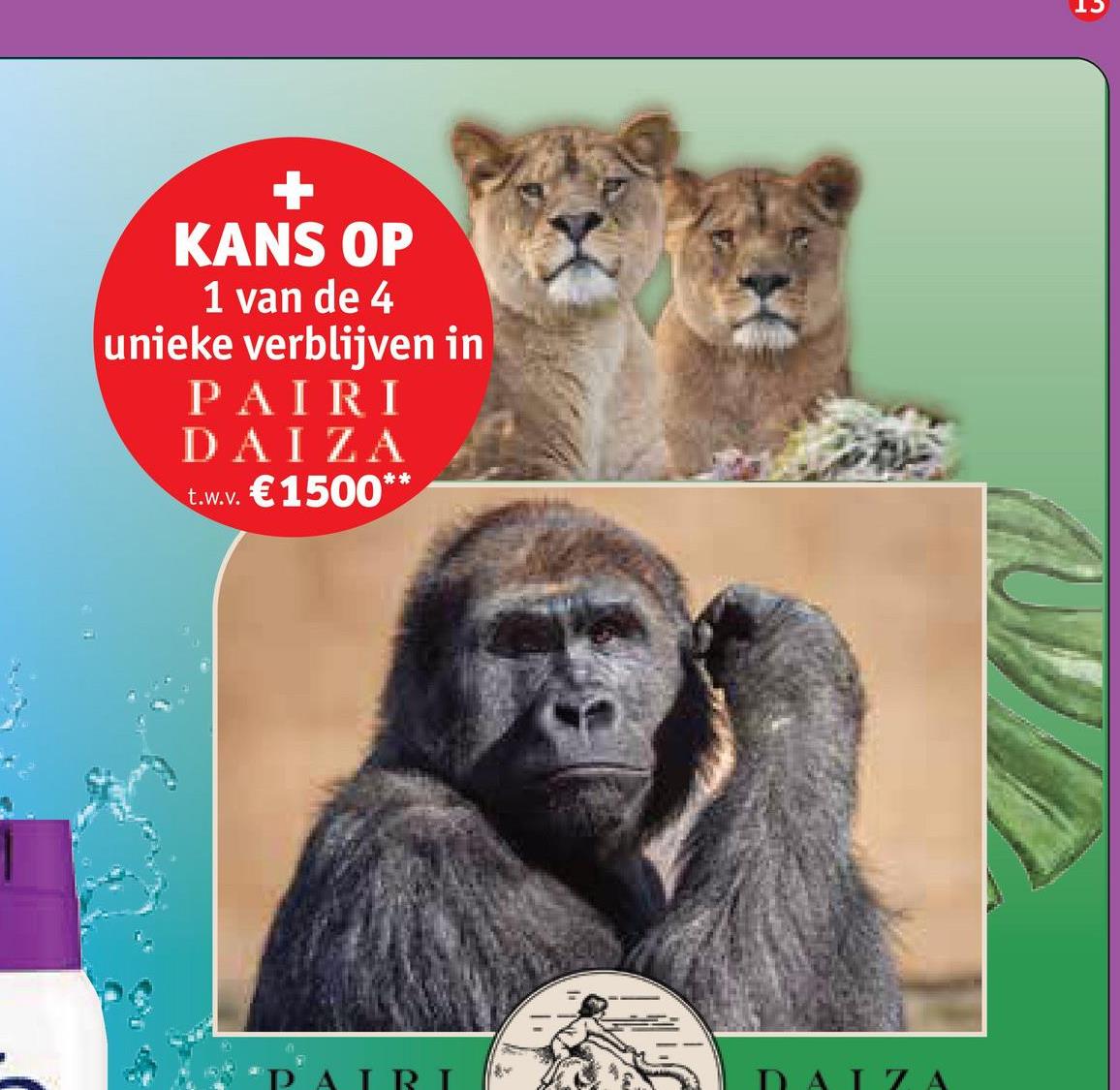 +
KANS OP
1 van de 4
unieke verblijven in
PAIRI
DAI ZA
€1500**
t.w.v.
PAIRI
DALZA
t