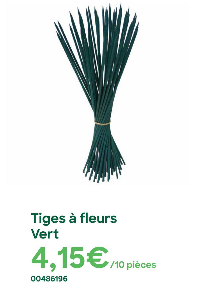 Tiges à fleurs
Vert
4,15€/10 pièces
00486196