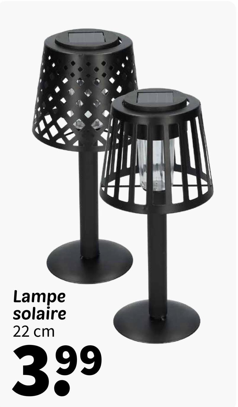 Lampe
solaire
22 cm
3.99