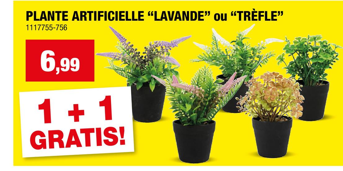 PLANTE ARTIFICIELLE "LAVANDE" ou "TRÈFLE"
1117755-756
6.99
1+1
GRATIS!