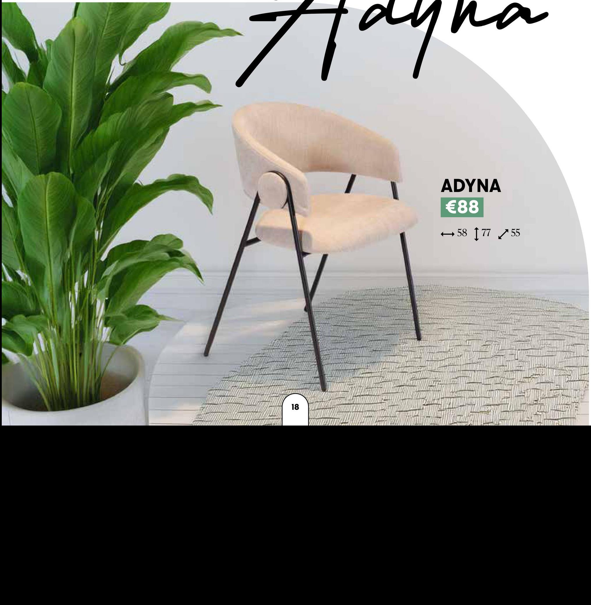 Hay
18
ADYNA
€88
→ 58 [77 55