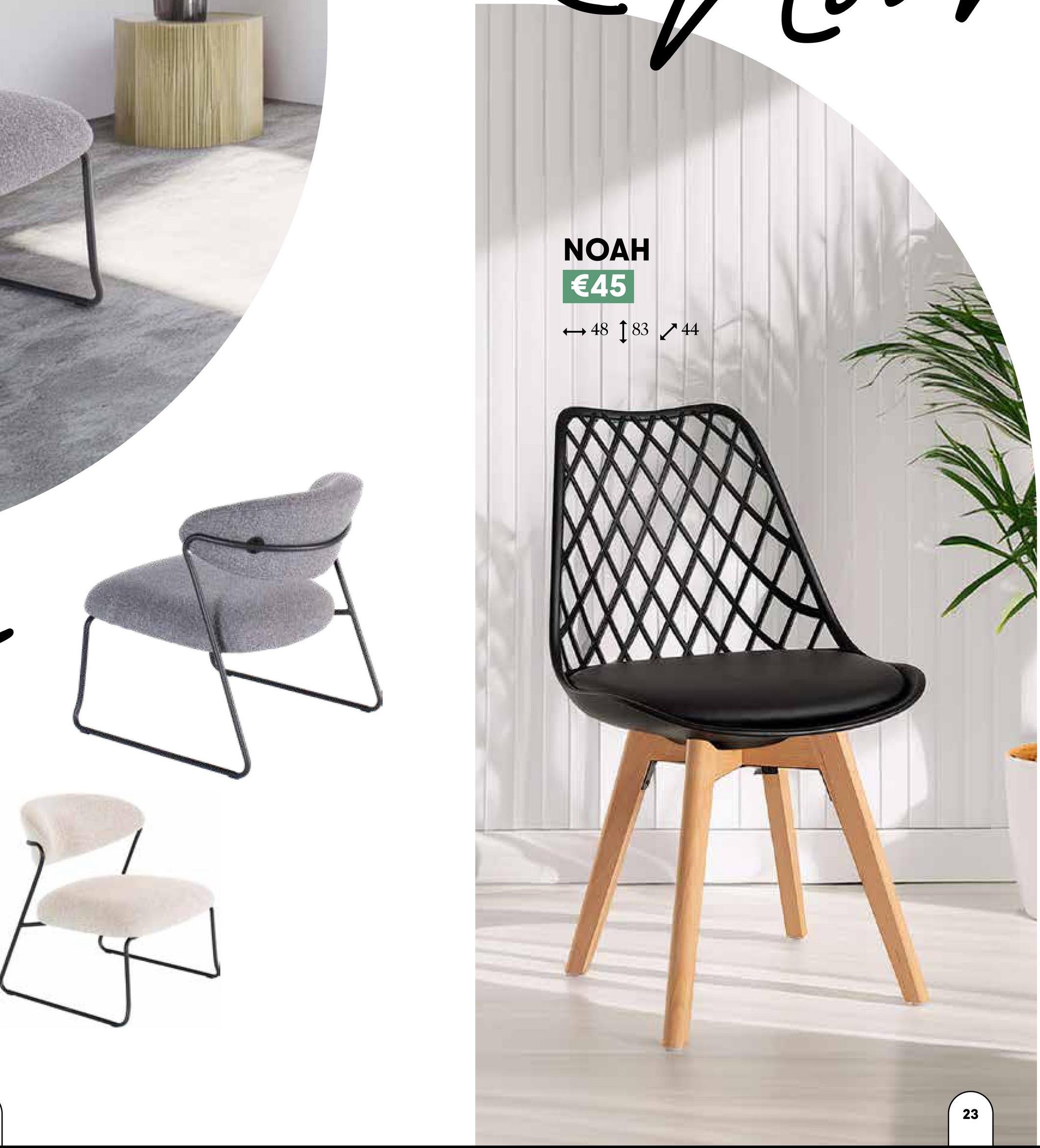 NOAH
€45
4883 44
23