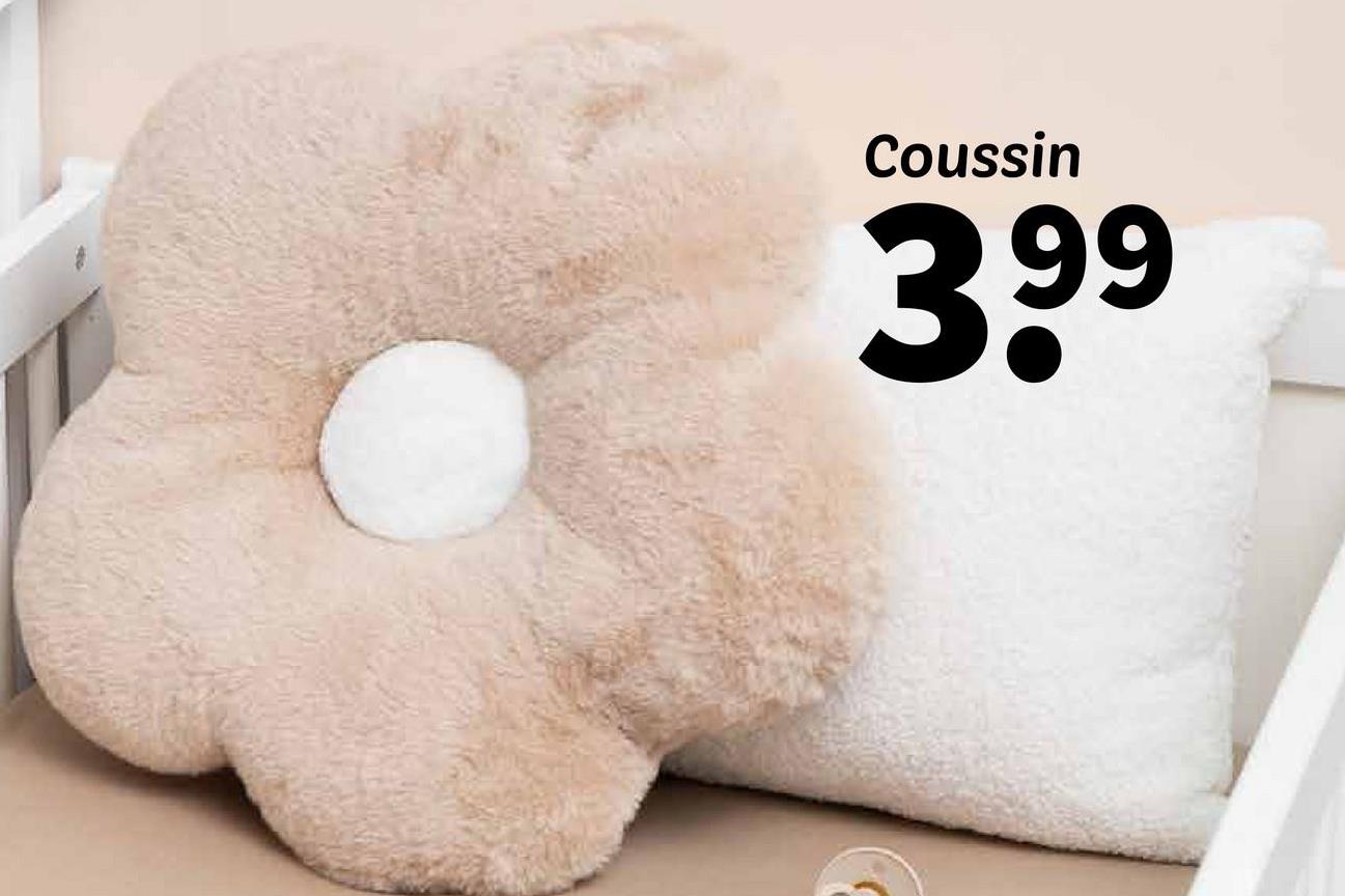Coussin
399