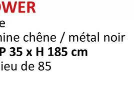 WER
e
ine chêne / métal noir
P 35 x H 185 cm
ieu de 85