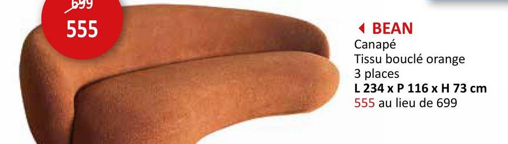699
555
< BEAN
Canapé
Tissu bouclé orange
3 places
L 234 x P 116 x H 73 cm
555 au lieu de 699