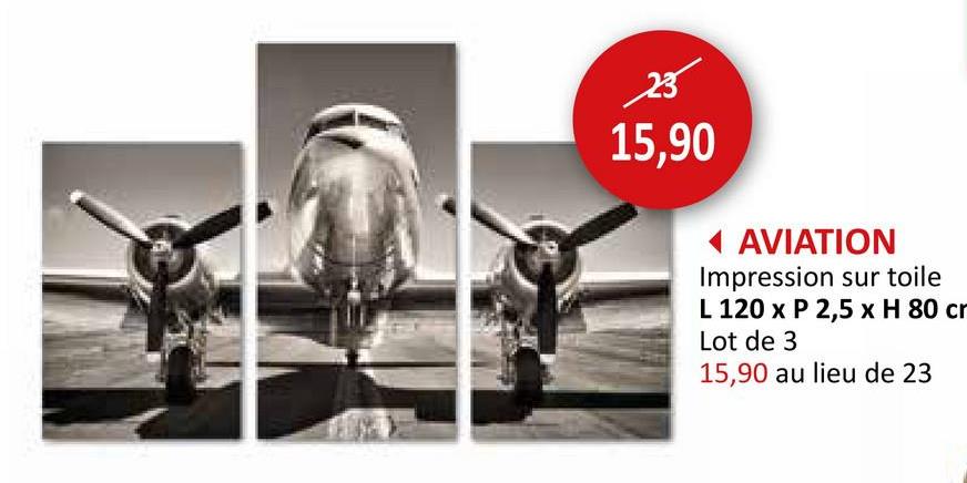 23
15,90
◄ AVIATION
Impression sur toile
L 120 x P 2,5 x H 80 cr
Lot de 3
15,90 au lieu de 23