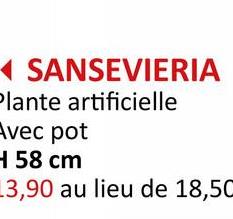 SANSEVIERIA
Plante artificielle
Avec pot
H 58 cm
13,90 au lieu de 18,50