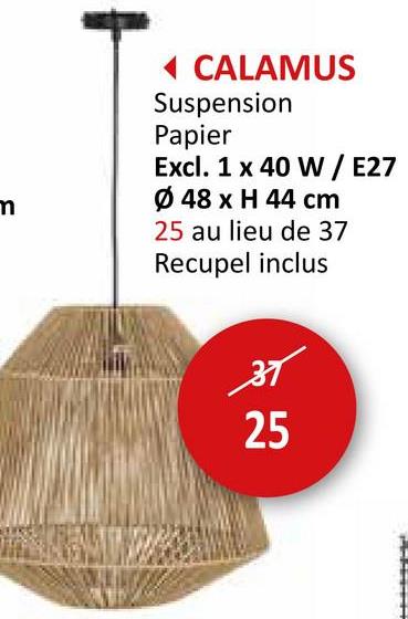 m
◄ CALAMUS
Suspension
Papier
Excl. 1 x 40 W/E27
Ø 48 x H 44 cm
25 au lieu de 37
Recupel inclus
अ
25