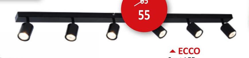 55
ECCO