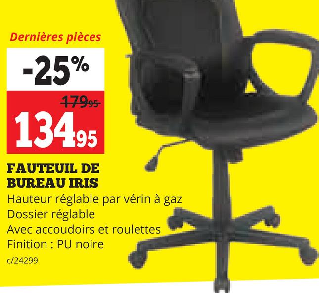 FAUTEUIL DE BUREAU IRIS
