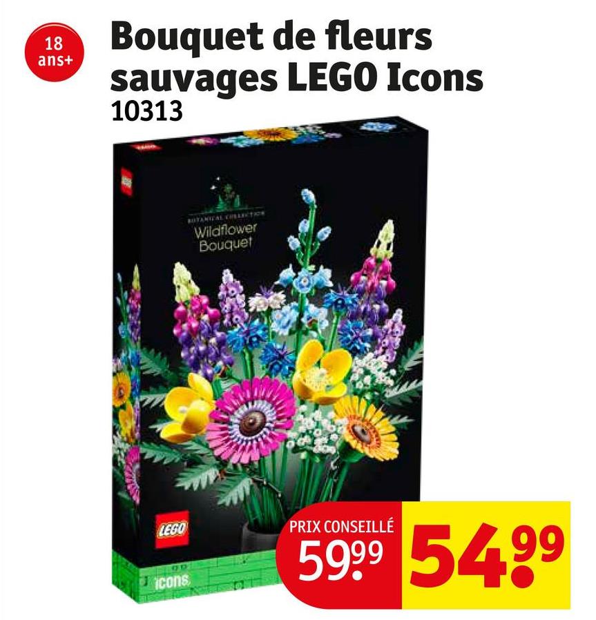 18
ans+
Bouquet de fleurs
sauvages LEGO Icons
10313
LEGO
icons
Wildflower
Bouquet
PRIX CONSEILLÉ
5999 549⁹