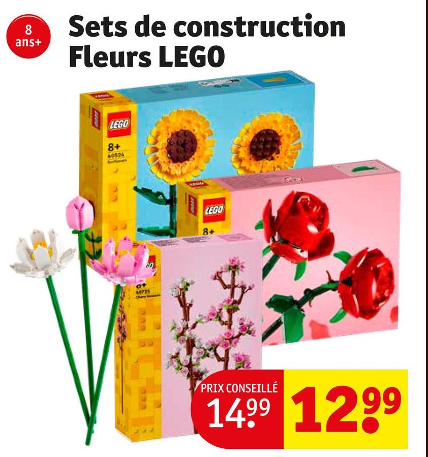 8
ans+
Sets de construction
Fleurs LEGO
LEGO
8+
40524
+0
40725
LEGO
8+
PRIX CONSEILLÉ
1499 1299