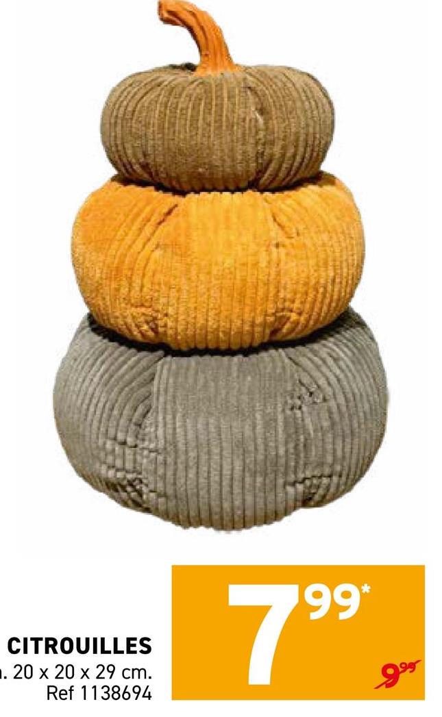 CITROUILLES
■. 20 x 20 x 29 cm.
Ref 1138694
199*
999