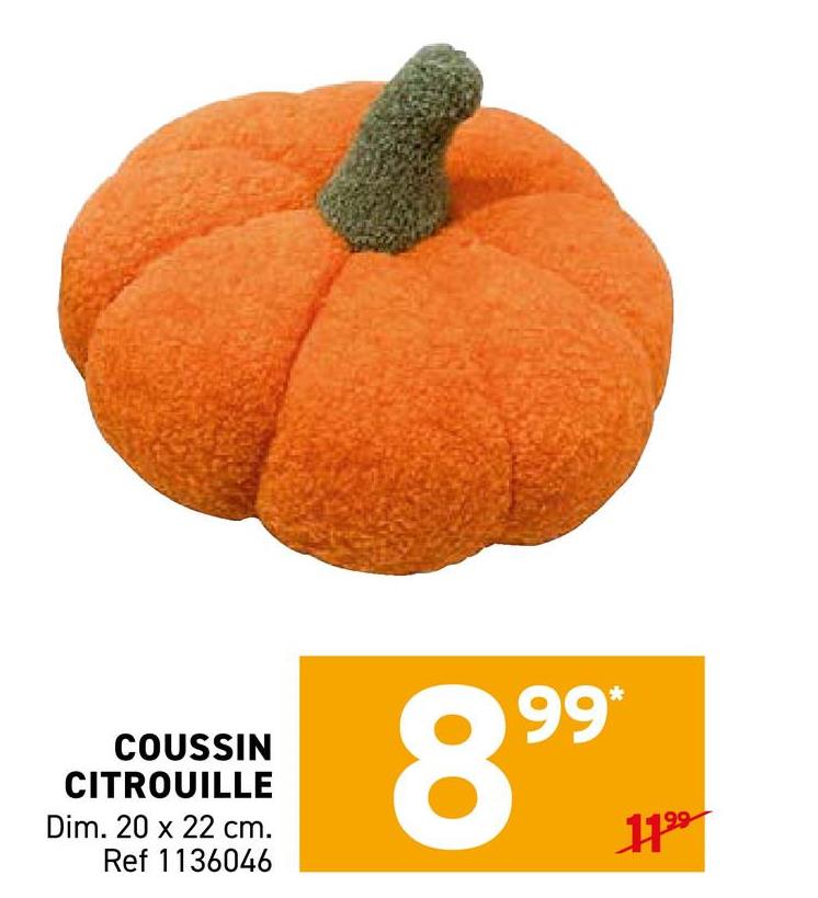 COUSSIN
CITROUILLE
Dim. 20 x 22 cm.
Ref 1136046
99*
899
1199