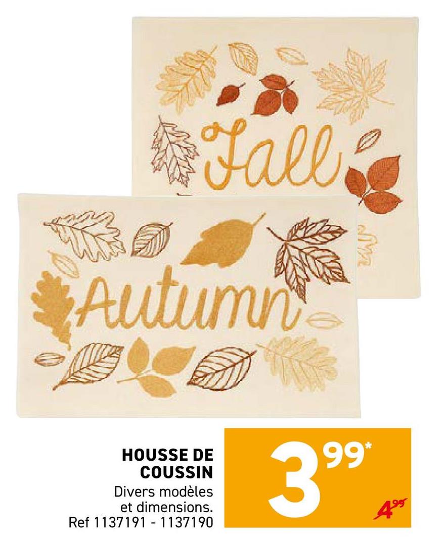 M
Fall
Autumn
HOUSSE DE
COUSSIN
Divers modèles
et dimensions.
Ref 1137191-1137190
399*
499