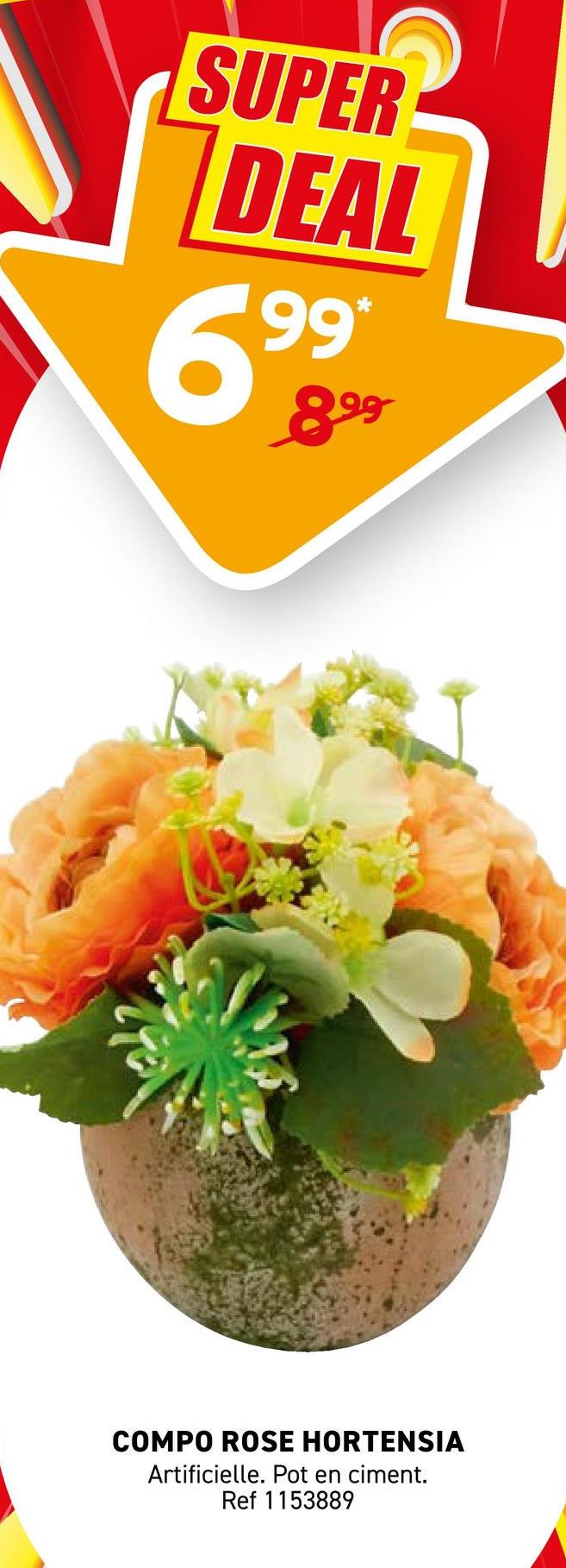SUPER
DEAL
99*
699
899
COMPO ROSE HORTENSIA
Artificielle. Pot en ciment.
Ref 1153889