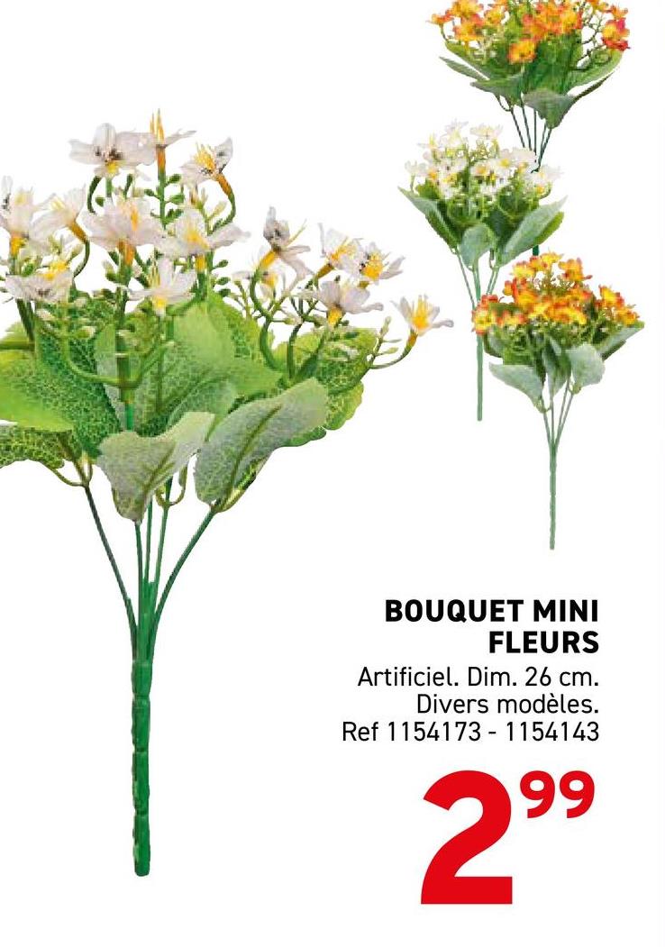 BOUQUET MINI
FLEURS
Artificiel. Dim. 26 cm.
Divers modèles.
Ref 1154173-1154143
299