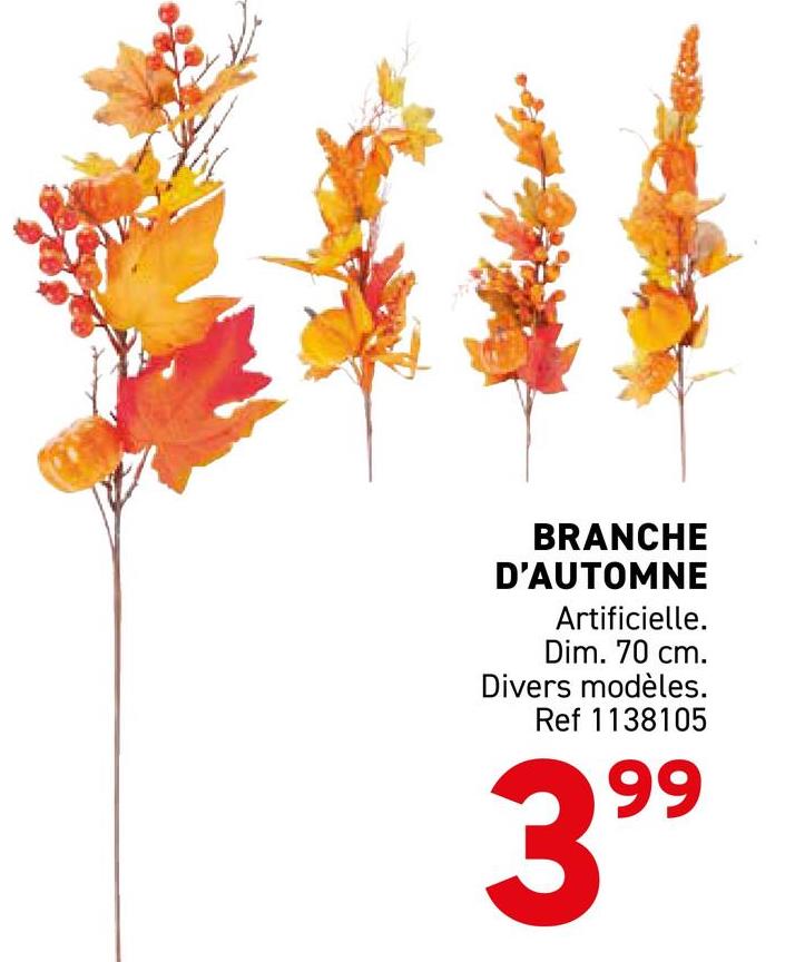 BRANCHE
D'AUTOMNE
Artificielle.
Dim. 70 cm.
Divers modèles.
Ref 1138105
399