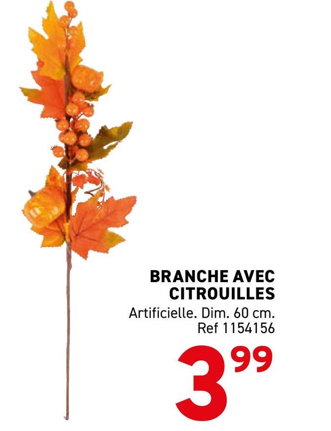 BRANCHE AVEC
CITROUILLES
Artificielle. Dim. 60 cm.
Ref 1154156
399