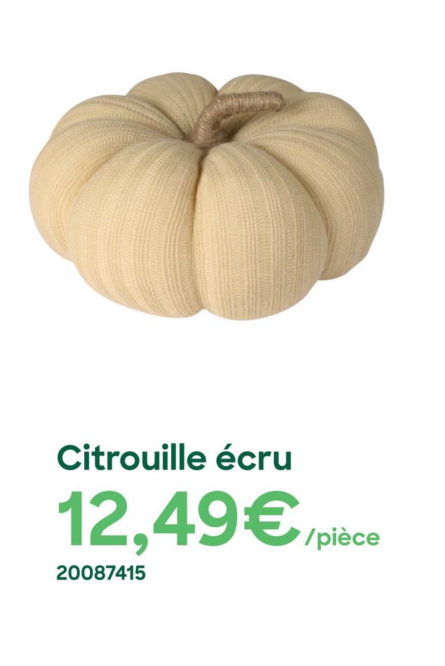 Citrouille écru