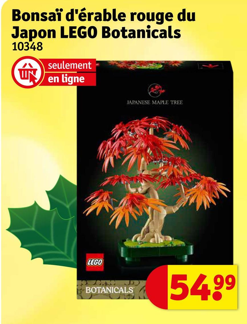 Bonsaï d'érable rouge du Japon LEGO Botanicals